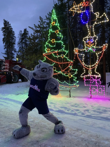 wolf mascot sitting by the fire